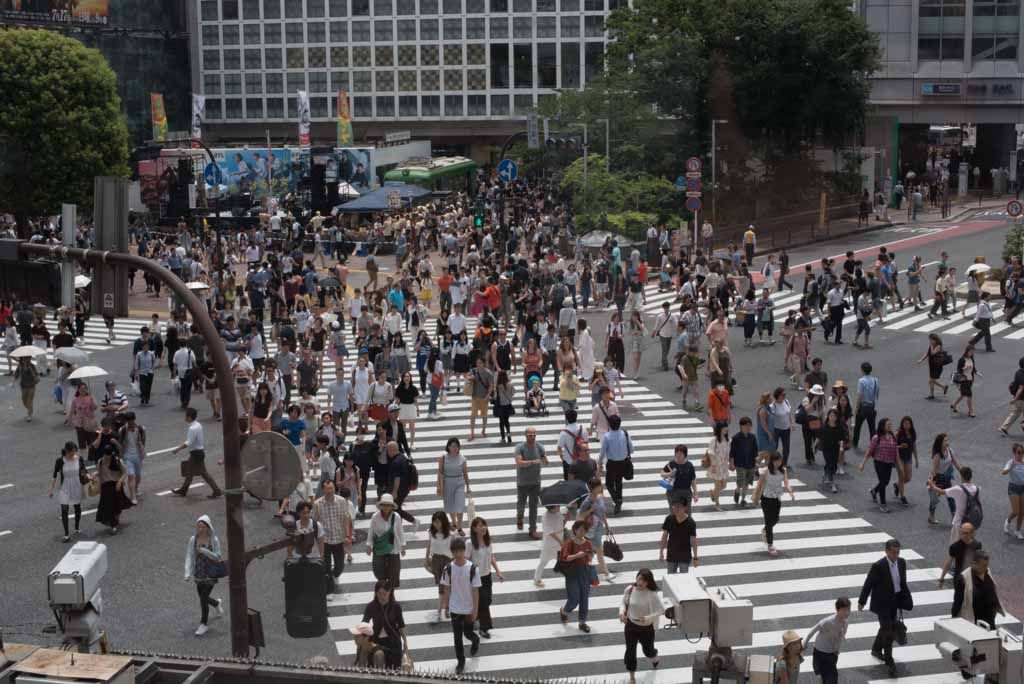 SHIBUYA TO AKIHABARA TRAVEL FACTS AND REGIONAL BUSINESS RESEARCH REPORT visual data 5