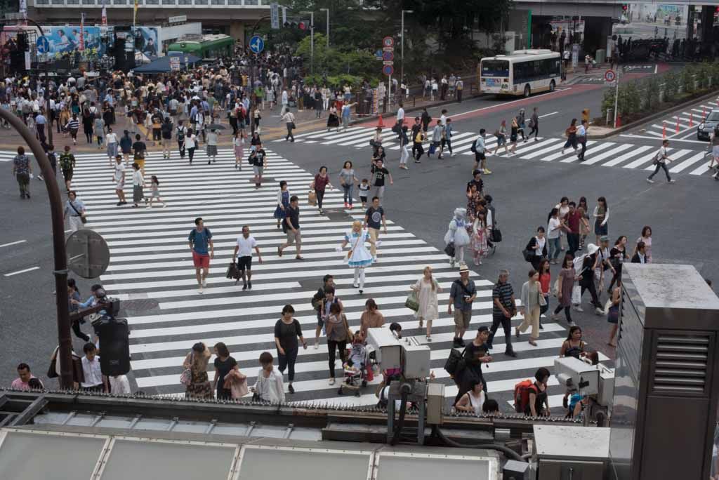 SHIBUYA TO AKIHABARA TRAVEL FACTS AND REGIONAL BUSINESS RESEARCH REPORT intelligence overview
